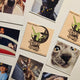 Custom Photo Magnets
