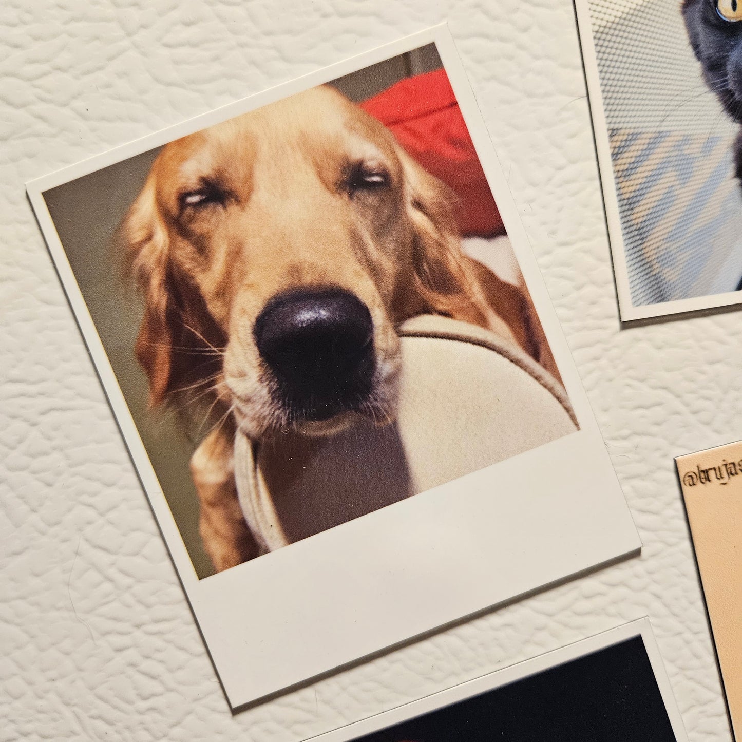 Custom Photo Magnets